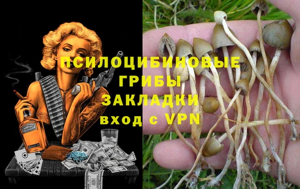 гидропоника Беломорск