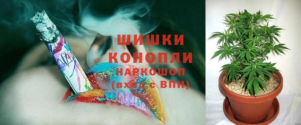 стафф Белокуриха
