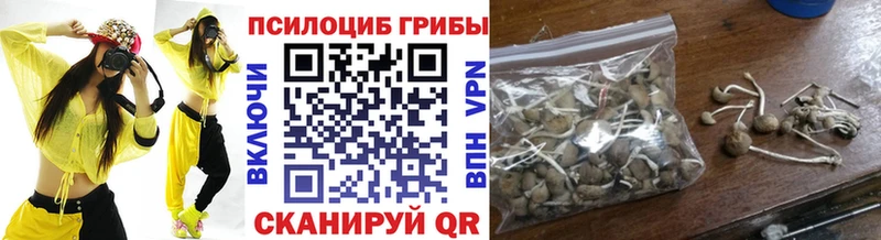 Галлюциногенные грибы мухоморы  Купить закладки  Гай 